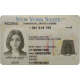 New York CDL New York CDL